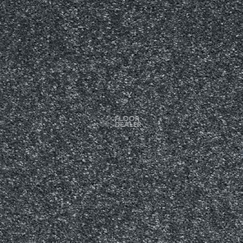 Ковролин AW Invictus Atticus Atticus 74 фото 1 | FLOORDEALER
